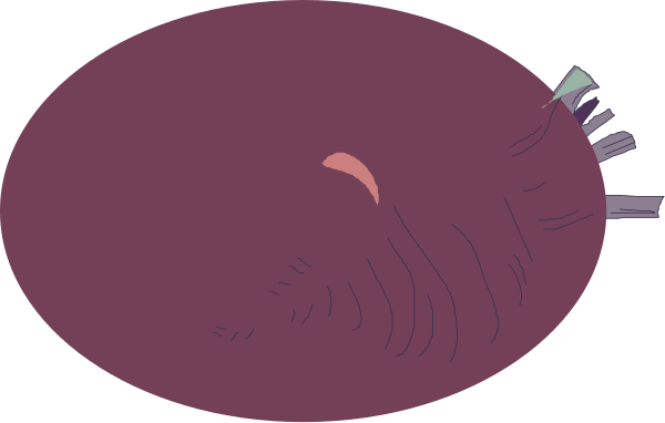 The image shows a cartoon of an elephant with its trunk raised upwards towards another object that is partially visible on the right side; there's no text present in this clip-art illustration.