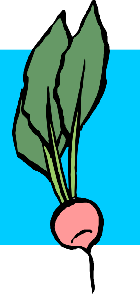 The image shows a cartoon of an open leafy vegetable with roots on top against a blue background.
