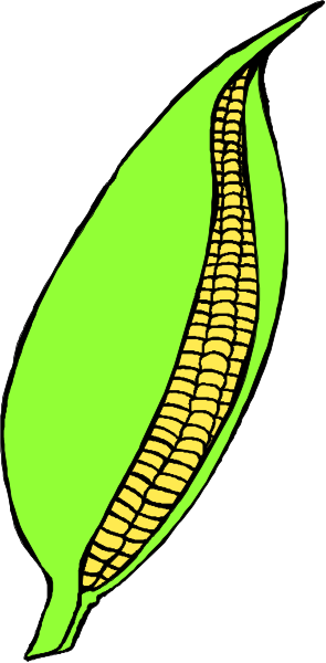 The image shows a graphic of an ear of corn with green husks on top against a white background.