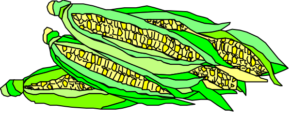 The image shows a bunch of corn on an ear with green leaves attached to it against a dark background.