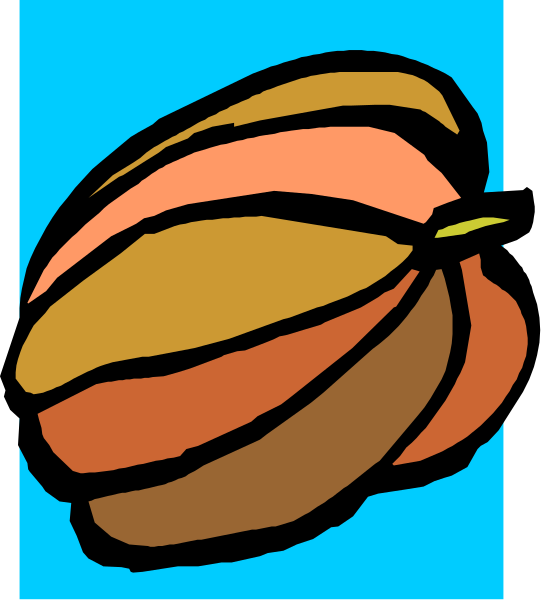 The image shows a single ripe fruit with an orange hue on its skin against a blue background.
