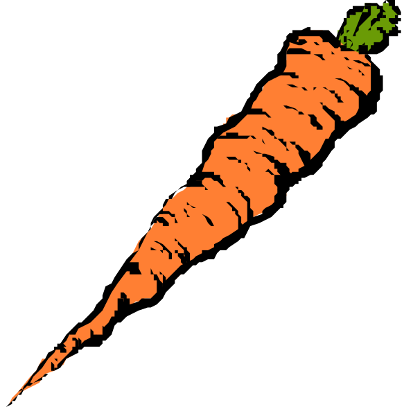 The images show a carrot with two different ends: on top it has green leaves attached to its stem while at bottom there is no visible root end; both depictions of an orange carrot against black backgrounds, one showing only the body and another including roots and greens.