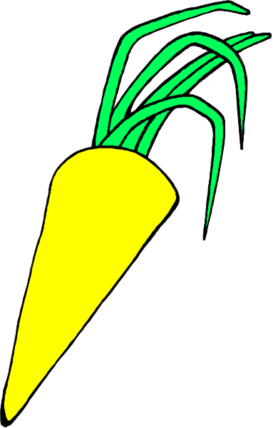 The image shows a carrot with green leaves attached to it against a white background.