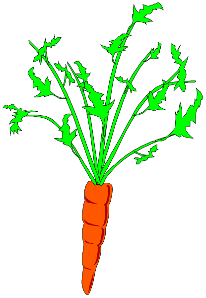 The image shows a bunch of carrots with green tops against a black background.