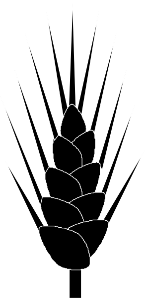 The image shows a stylized graphic of an ear of wheat with grains on it against a plain background.