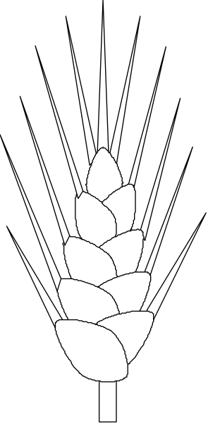 The black and white logo features a wheat stalk with grains on top of it to its right side against a dark background.