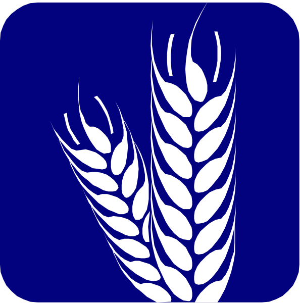 The image shows two square graphics with a blue background featuring stylized wheat stalks on either side of an icon that resembles grains in silhouette form against white space within each graphic.