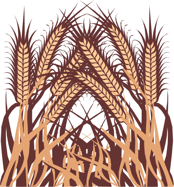 The image shows a stylized graphic of wheat stalks with golden grains against an orange background on top half, transitioning to brown in bottom right corner where there is text that reads "AETHER," and it appears as if the design could be part of a larger pattern or motif.