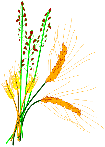 The image shows a digital illustration of various plants with different shapes and textures against a dark background; there is no human activity depicted in this clip-art piece.