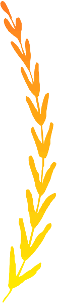 The image shows a vertical strip with two distinct halves: on top, there is an orange flame pattern; below it, yellow flames against black background.