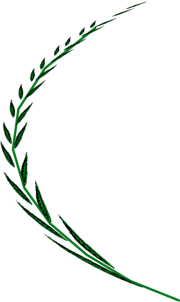 The image shows a green leaf design with black outlines on a gray background.