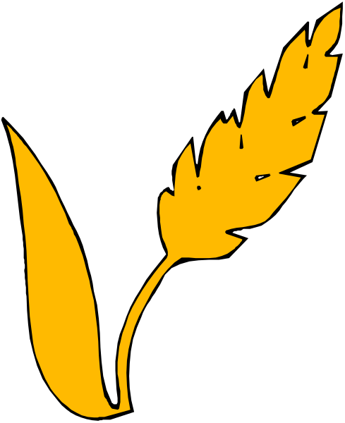 The image shows a stylized graphic of an ear of wheat with grains on it against a black background.