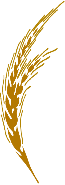 The image shows a stylized graphic of an ear of wheat with flowing lines that suggest movement against a dark background.