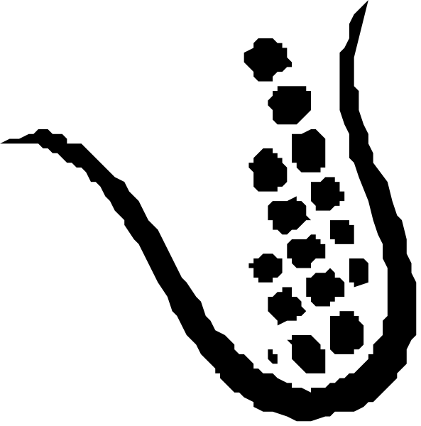 The black background of a computer screen with white text reading "Hello World!"