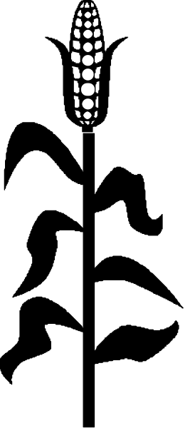 The image shows a black silhouette of an ear on top of what appears to be a white surface with some indistinct shapes around it in various shades of gray.