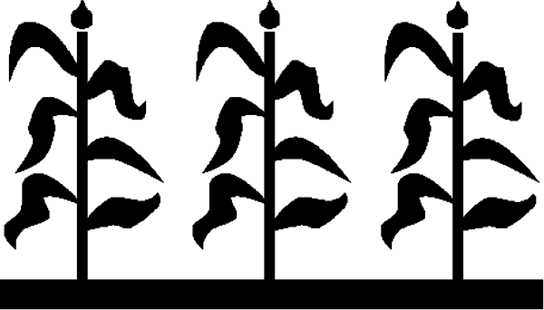 The image shows a black rectangle with white text inside it that reads "10".