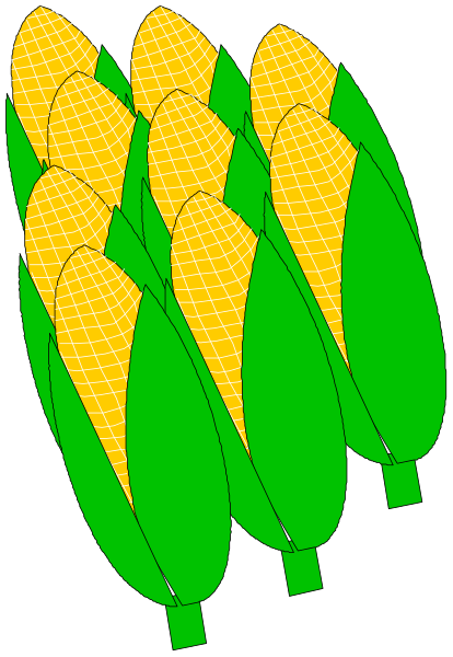 The image shows a group of six green corn on ears with yellow kernels inside them against a black background.