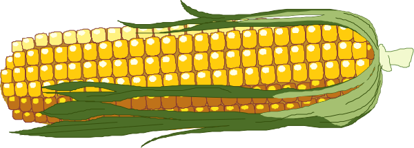 The image shows a cartoon depiction of an ear of corn with kernels that have been replaced by small yellow candies on top; it is stylized to look like candycorns in place of actual grains, and there's no text present within this clip-art.