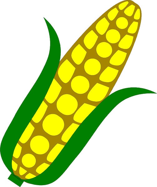The image shows a graphic of an ear of corn with green leaves on top next to its cob.