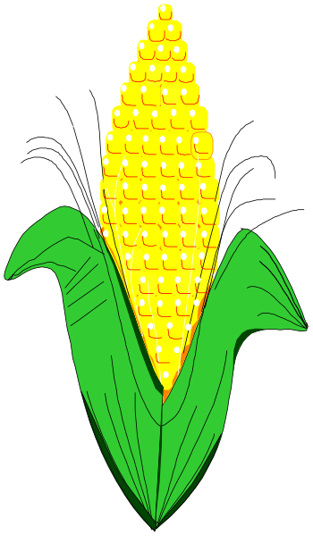 The image shows a stylized illustration of an ear of corn with yellow kernels on top inside its green husk attached to a darker colored cob, set against a black background.