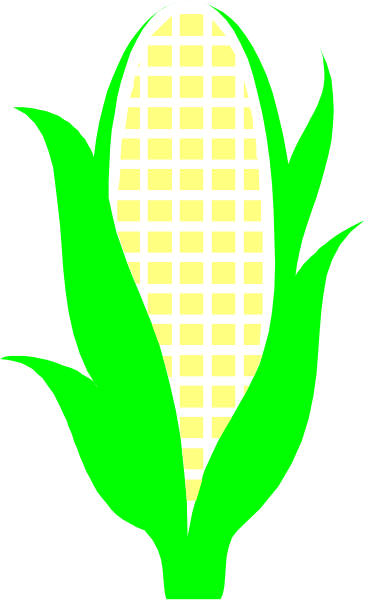 The image shows a graphic of an ear of corn with green leaves on top against a black background.