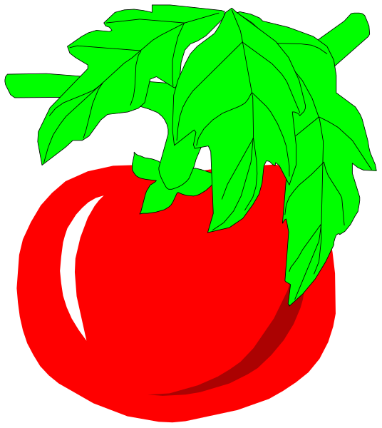 The image shows a tomato with green leaves attached to it against a white background.