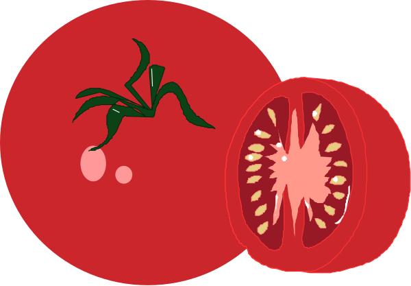 The image shows a tomato with two slices missing on its left side, an intact whole tomato to the right of it in front view, another slice from that same tomato above the first one, all depicted against red backgrounds and bordered by white lines forming squares around each piece.