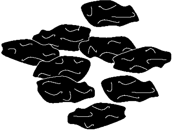The black and white image shows a collection of rocks with various shapes and sizes arranged together on what appears to be a dark background.