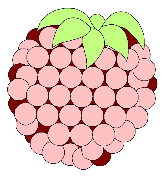 The image shows a cartoon depiction of an open raspberry with its seeds exposed against a black background on top left corner; there is no text present in this clip-art illustration.