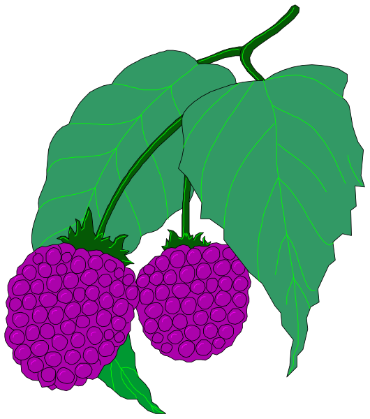 The image shows two purple flowers with green leaves against a black background.