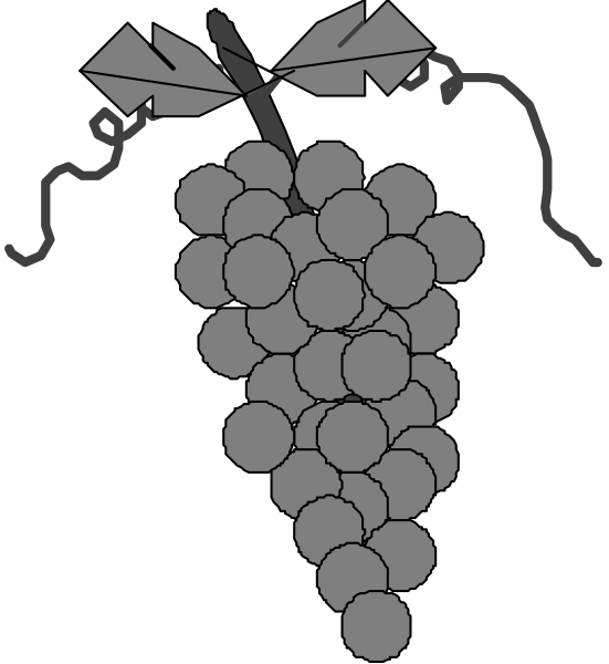 The black and white illustration shows a bunch of grapes hanging from what appears to be a vine with leaves on either side at top left corner; below it is an image of three bunches of green grape clusters, each connected by stems that resemble vines or branches extending outward.