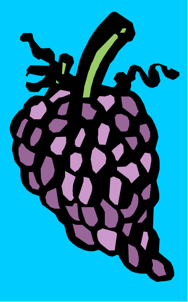 The image shows a purple fruit with green leaves on it against a blue background.