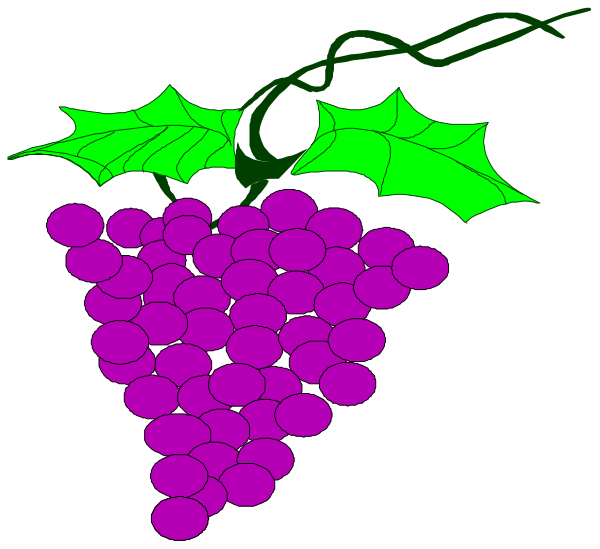 The image shows a bunch of purple grapes with green leaves atop them on the left side against a black background; to their right is an illustration in white that depicts two red holly berries, one above and slightly overlapping another below, connected by what appears to be a stem or branch.