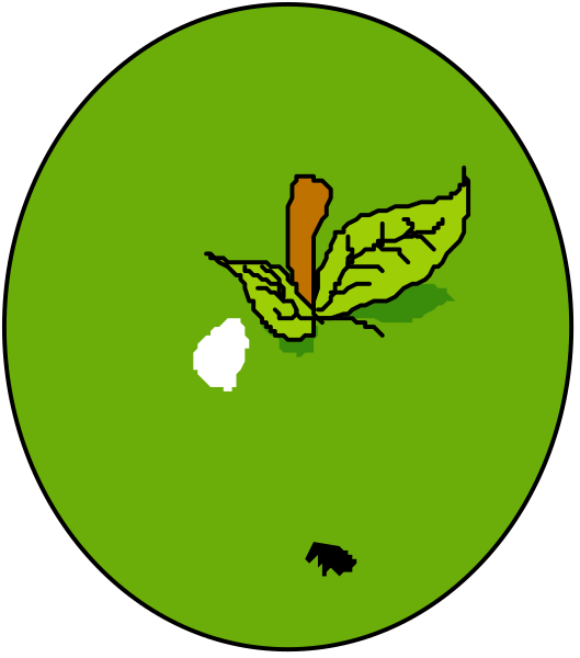The image shows a green apple with an orange leaf on it next to what appears to be a small black bug.