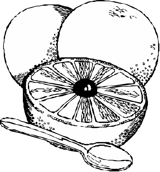 The black and white illustration shows a slice of lemon with seeds exposed on top left corner next to two whole lemons in bottom right corner; there is also an orange wedge cut into half at center-right, accompanied by a spoon resting beside it.