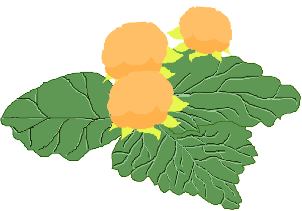 The image shows a stylized map of an area with green leaves on top representing vegetation, three yellow flowers at different points across it indicating locations where these plants grow, and no other objects, people, animals, actions, or setting visible in this small clip-art illustration.