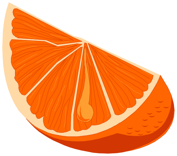 The illustration shows a slice of an orange with its juicy interior exposed on top right side against white background; it is stylized in flat design without shading to give depth.
