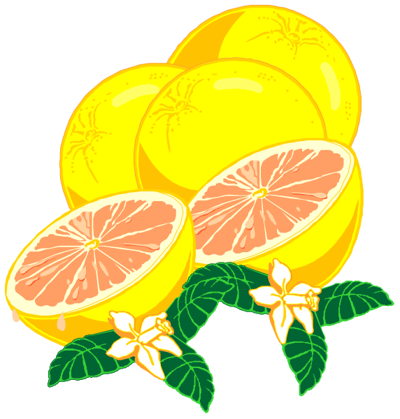 The image shows a cartoon illustration of three grapefruits with slices revealing their juicy interior, accompanied by two sprigs of mint leaves on either side at bottom right corner; in background is another similar fruit slice and leaf arrangement to left upper corner.