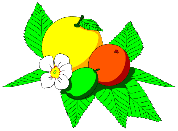 The image shows a colorful illustration of fruits including an apple with leaves on it to its left side at top center; two peaches in front of each other below that; another fruit resembling either a pear, plum, or cherry next to them towards bottom right corner; and what appears to be a flowering plant above the apples. The fruits are depicted against a dark background with green leaves around some edges suggesting foliage.