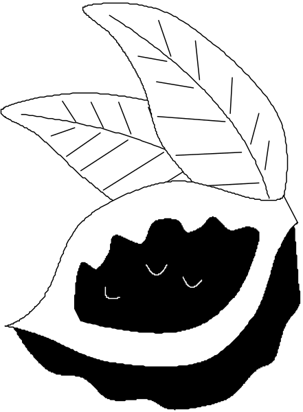 The image shows a black and white illustration of an acorn with two leaves on either side atop it, resembling ears for some reason; there is no text present in this clip-art image.