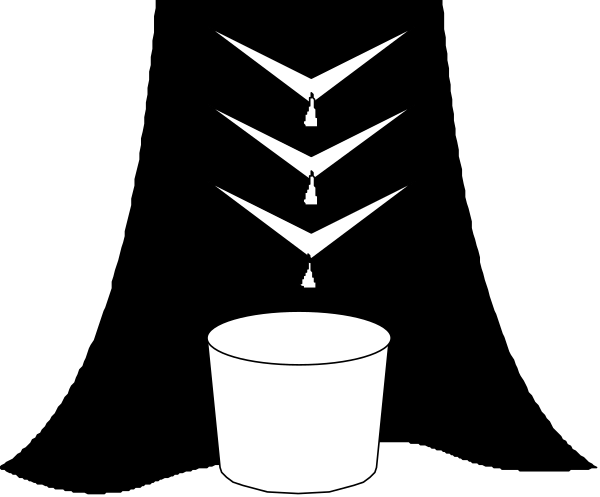 The black and white logo features a stylized depiction of an open book with pages fanning outward from its center to create a sense of movement or progression towards something unseen in the background.
