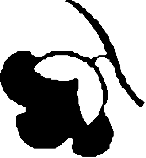 The black and white photo shows a simple cartoon of two birds flying side by side with their wings spread wide against an unseen background.
