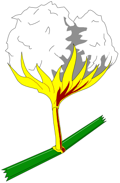 The image shows a stylized illustration of an evergreen tree with its branches reaching outward from what appears to be a heart-shaped base atop it; there is also a small plant sprouting in front, and flames seem to emanate from one side where two sticks are intertwined.