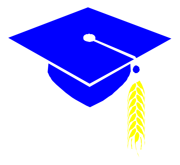 The image shows a stylized graphic of an academic cap with tassel hanging from it on top left corner against black background; below is graduation gown draped over what appears to be a mortarboard, and attached at bottom right side hangs a golden diploma or scroll with blue border.