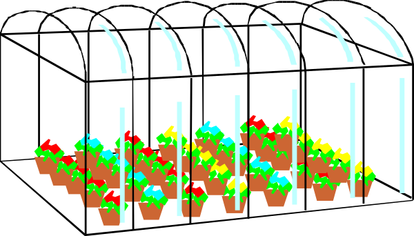 The image shows a cartoon depiction of an indoor scene with several potted plants placed on shelves under artificial lighting conditions that mimic sunlight through slats in front of them.