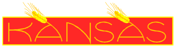 The image shows a logo with text that reads "KANSAS" written across it horizontally on what appears to be an orange background atop two vertical lines of fire in red against a gray backdrop, suggesting fiery flames above and below the word.