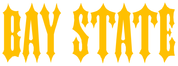 The text "DAYSTATE" with a yellow background on top of an orange rectangle is shown against a gray backdrop.