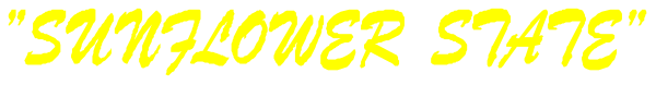 The text "SUNFLOWER STATE" on a plain background with no other discernible elements present.