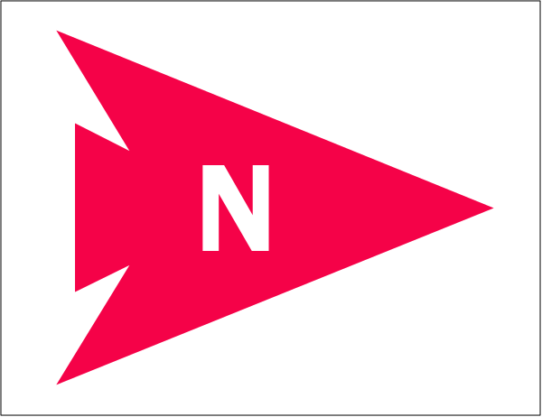 The image shows a red flag with white text that reads "N" on it against an indistinct background.