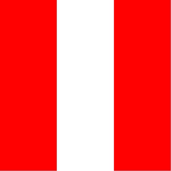The flag of Nicaragua with a white border around it.